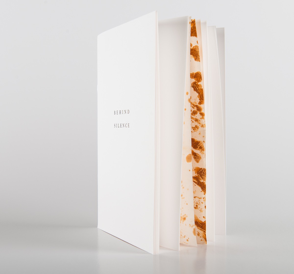 Behind Silence (2013) — Janne Kruse
