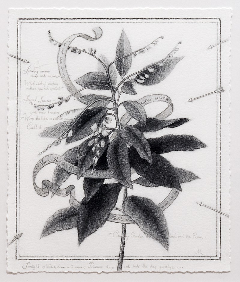 Tales from the hollow log (2010) — Sverre Malling