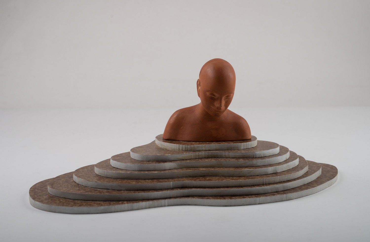 Figuren ser nedover (2013) — Istvan Lisztes