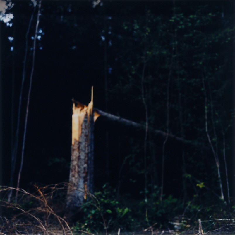 Landskap I (2009) — Margareta Bergman