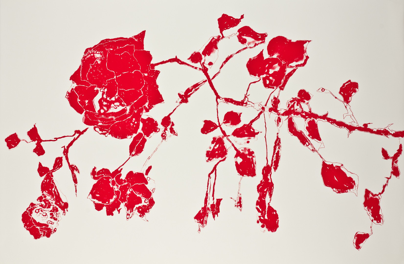 Rose (2011) — Gro Finne