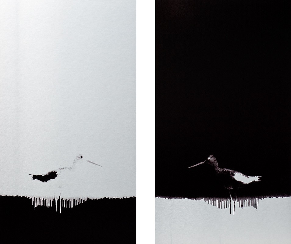 The unbearable likeness of being (2011) — Unn Fahlstrøm