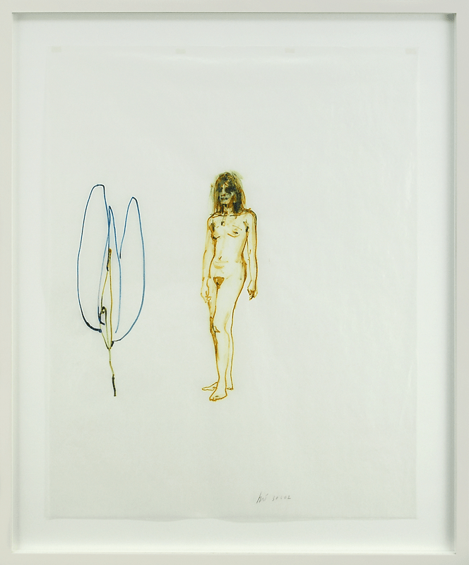 The Origin of the Mango's Rind (2004) — Kjell Torriset