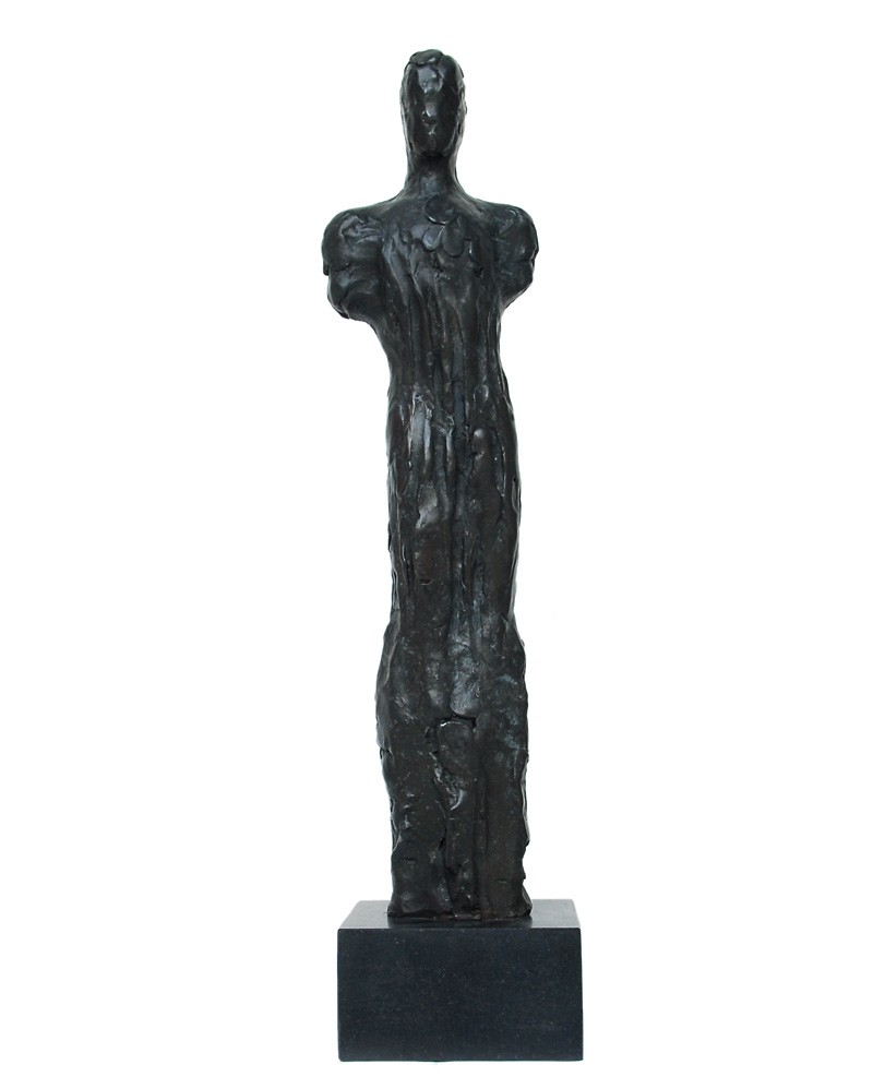 Menneske han (2008) — Nico Widerberg
