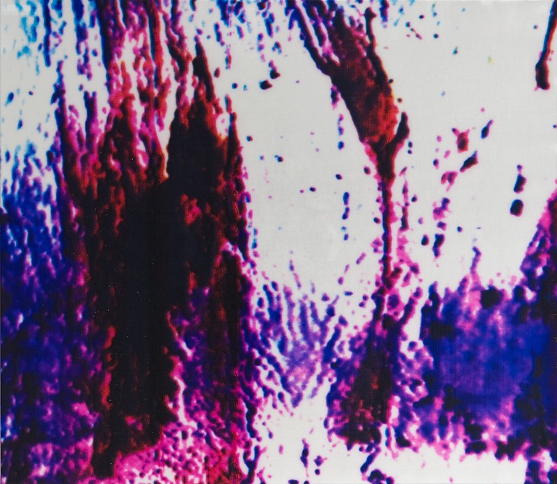 Mountain of the Mind (2011) — Marianne Heske