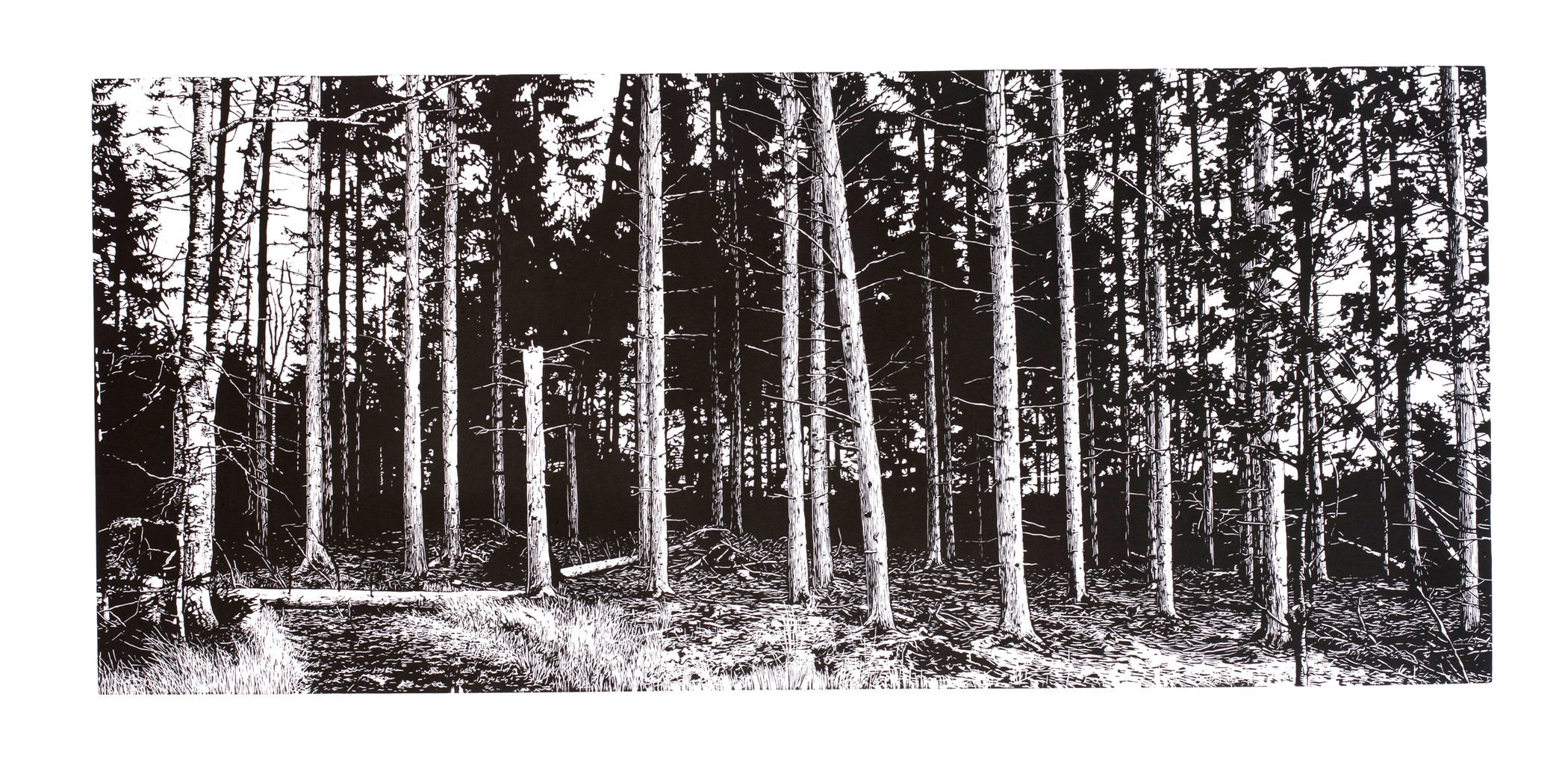 November (2017) — Mattias Härenstam