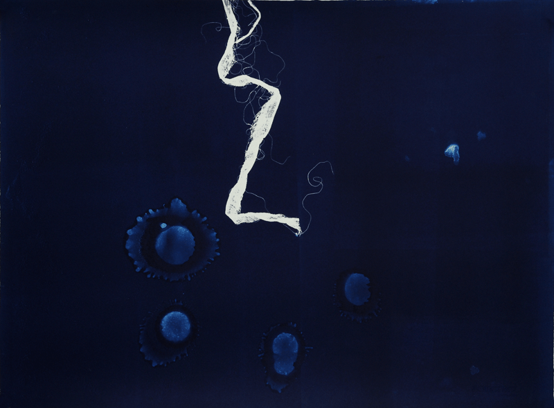 Blueprint (del 1) (2004) — Kjell Torriset