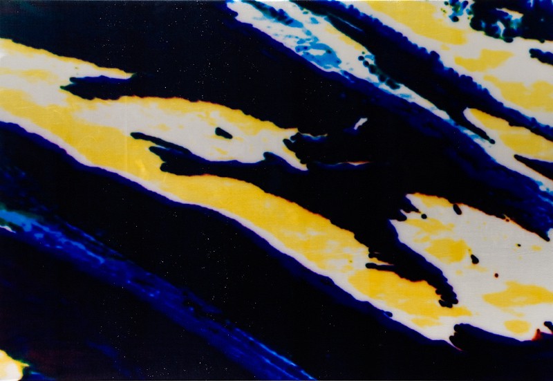 Mountain of the Mind (2011) — Marianne Heske