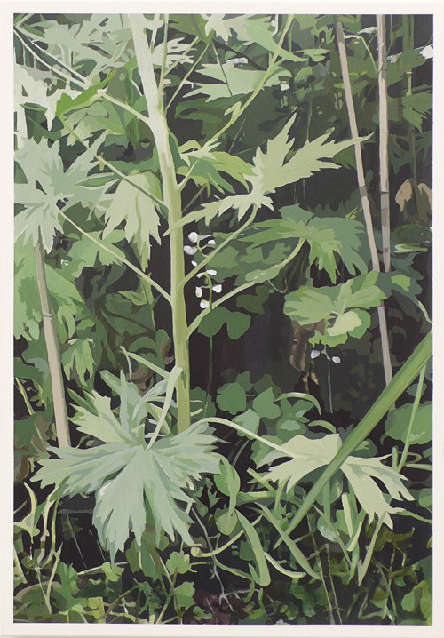 Delphinium (2008) — Minna Hannele Lappalainen