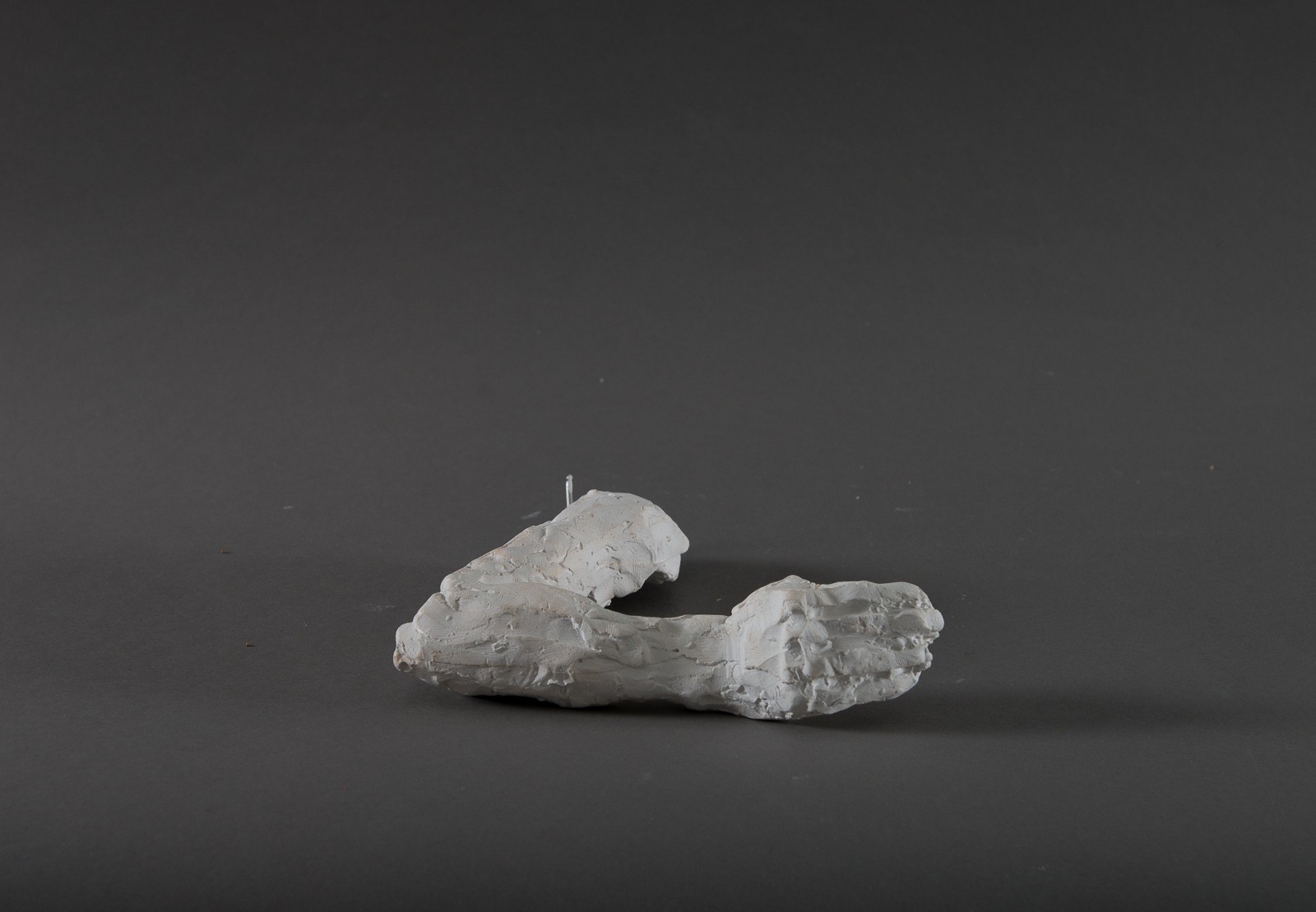 Arm (2016) — Gisle Harr