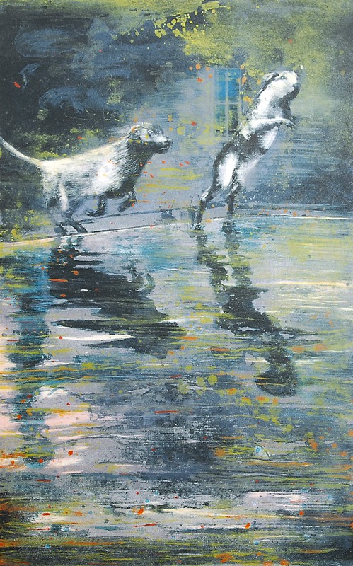 The Pool (2008) — Frank Brunner