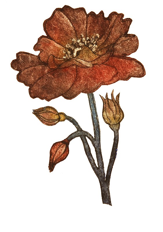 Rose (2008) — Randi Eilertsen