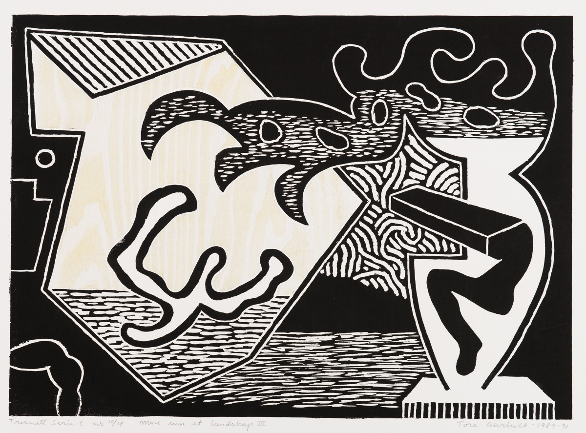 Mer enn et landskap (1989) — Tore Aarholt