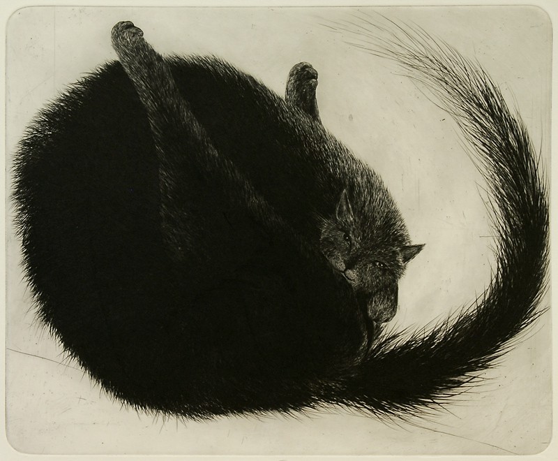 Se meg (2010) — Ola Steen