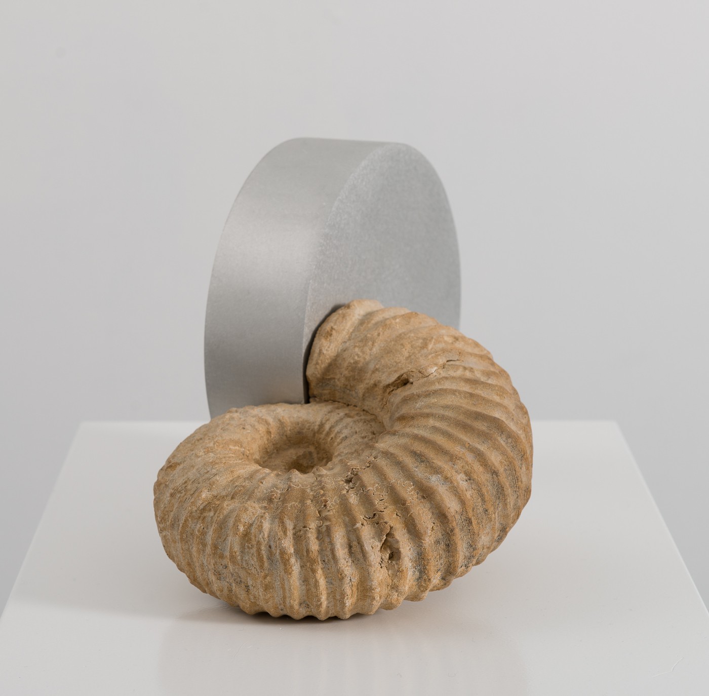 CIRCULI I-XV (2015) — Terje Roalkvam