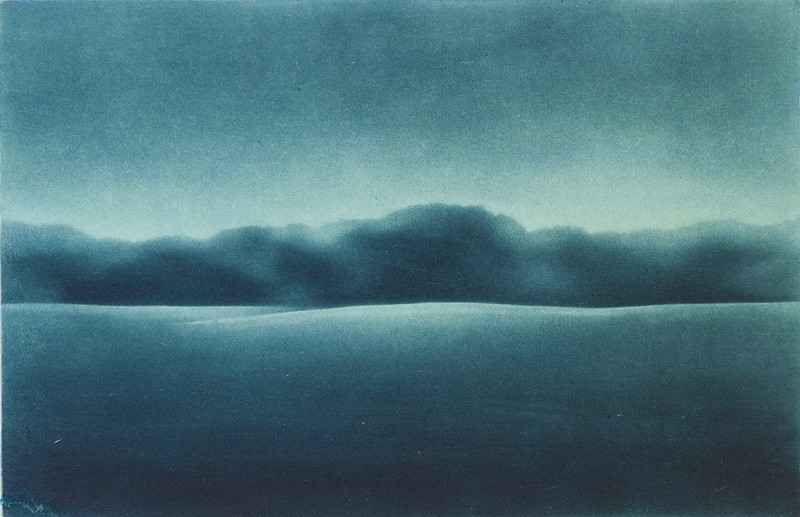 Skog (2010) — Terje Risberg