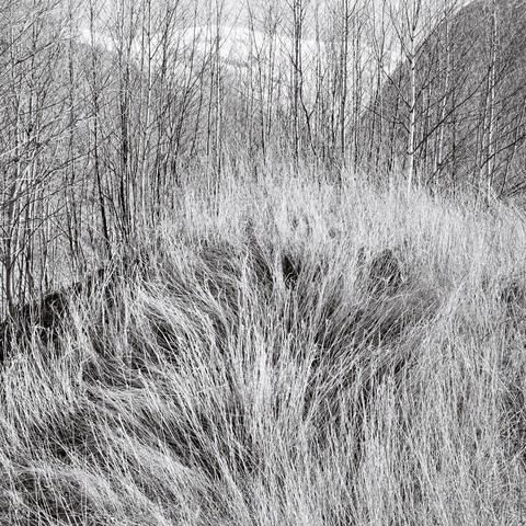 Uten tittel (1997) — Jens Hauge
