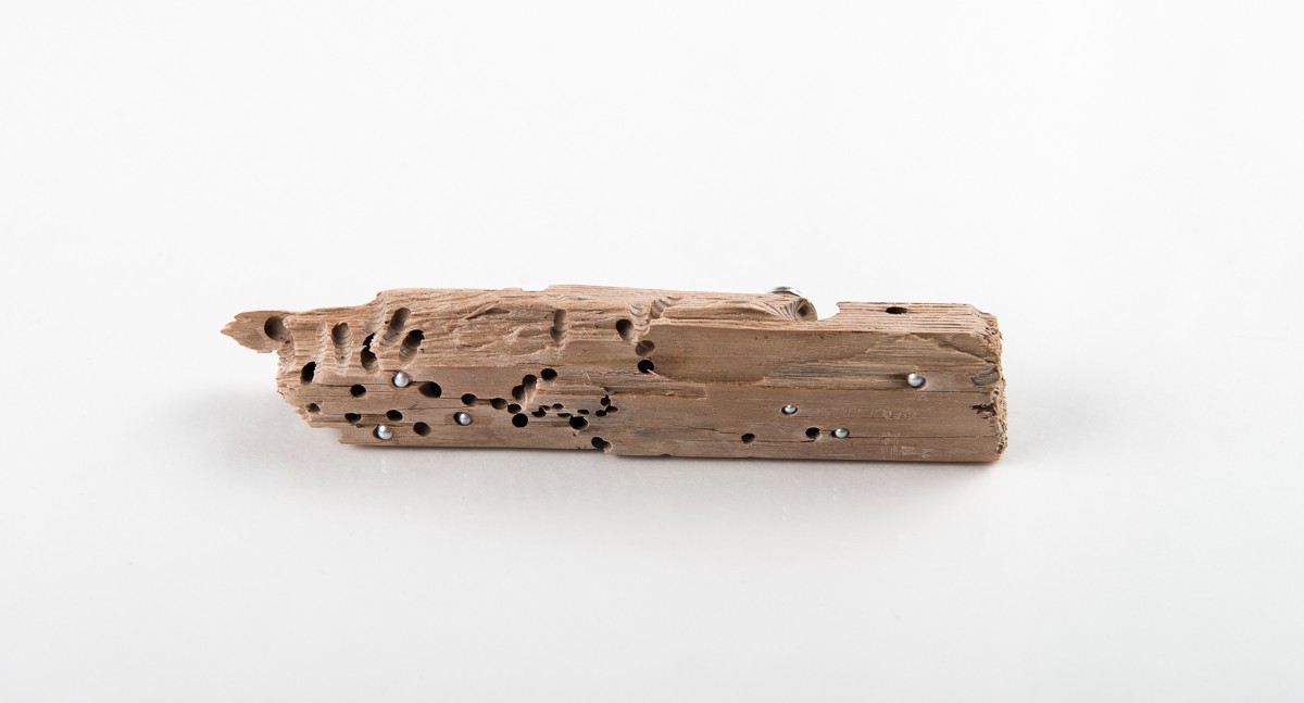 Hybel Anobiida (2014) — Fie von Krogh