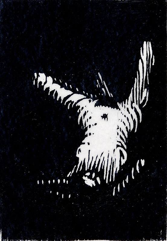 vil jeg være naken (1987) — Niclas Gulbrandsen