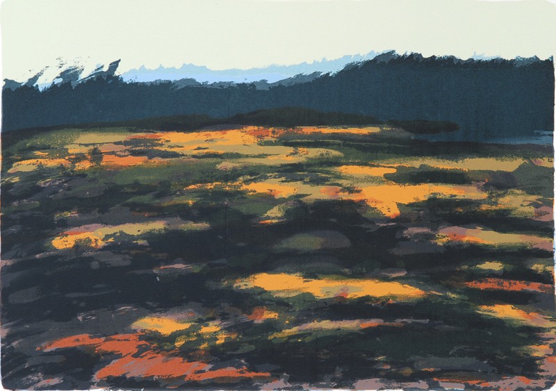 Myr IV (2009) — Anders Kjær