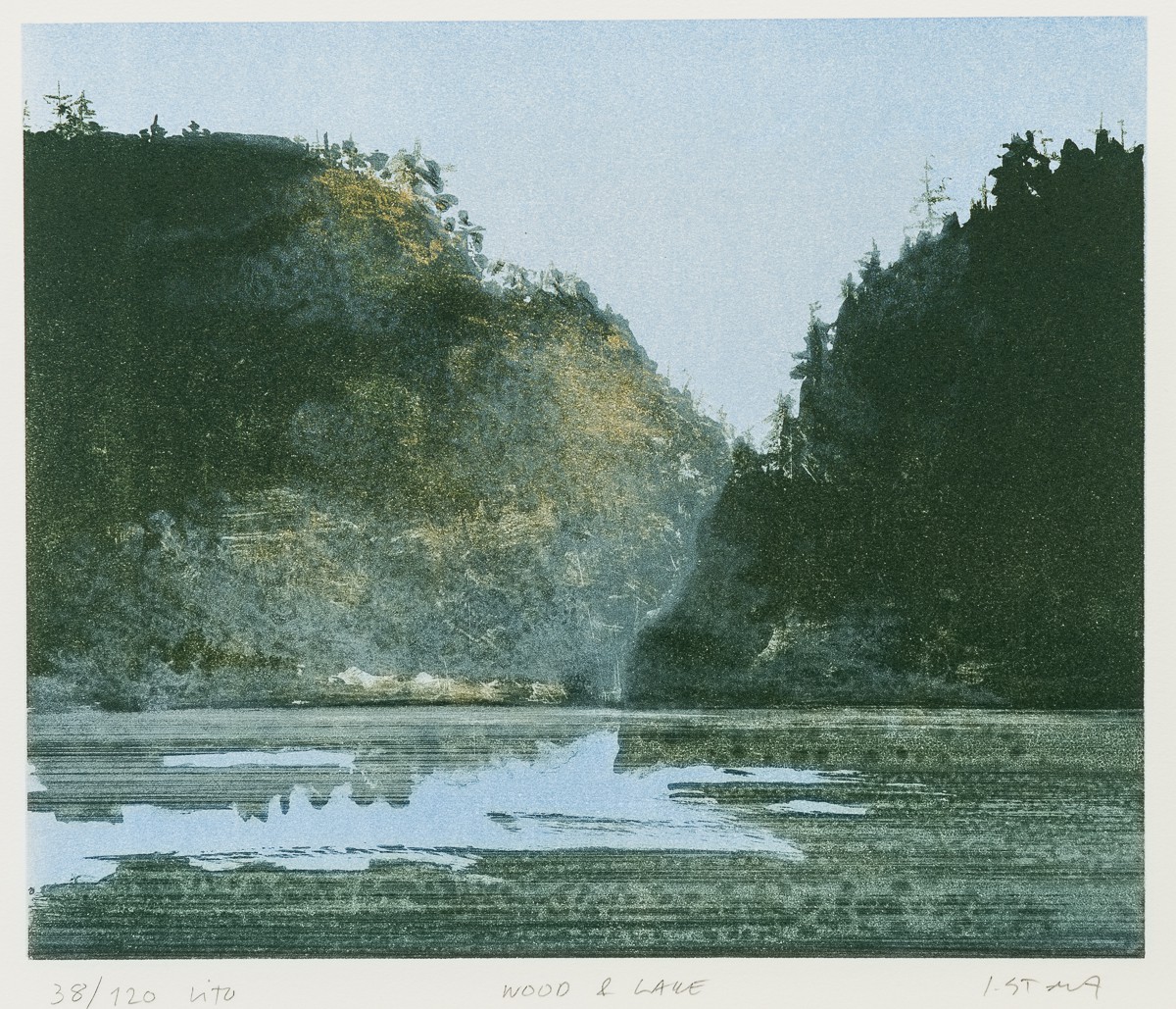Wood & lake (2010) — Ingeborg Stana