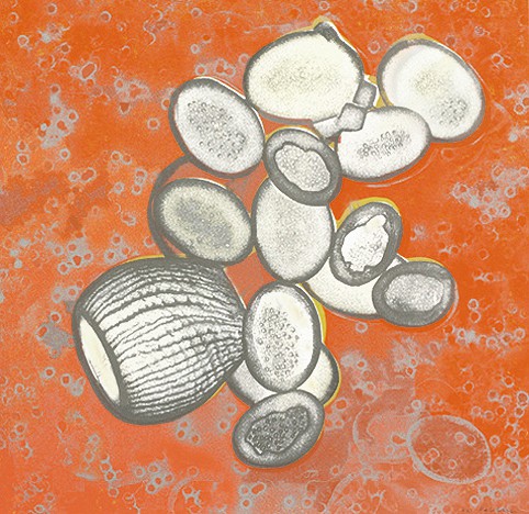 Coccolith 11 (2010) — Ellen Karin Mæhlum