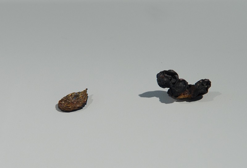 Rosiner (2007) — Kirsti Reinsborg Grov