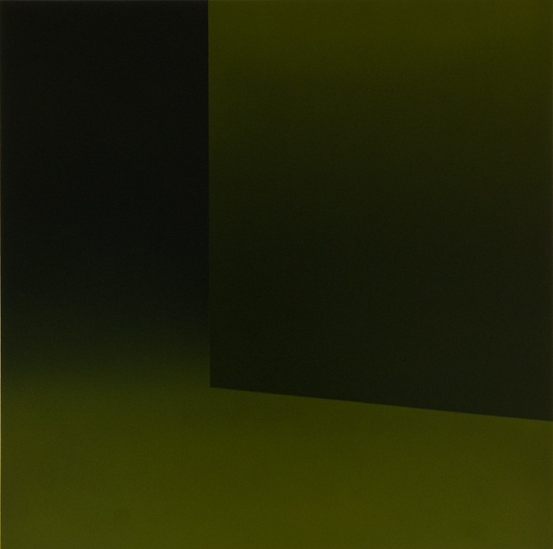 Skjult (2010) — Harald Fenn