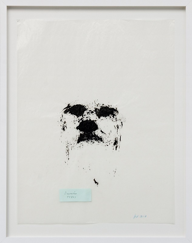 Darwin (2001) — Kjell Torriset