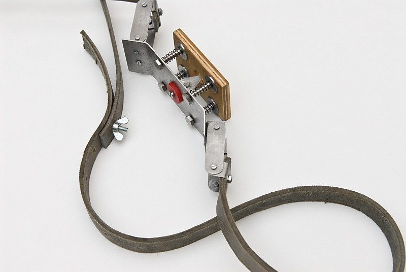 Hudspiss med trykk-knapp (2009) — Arne Aalberg