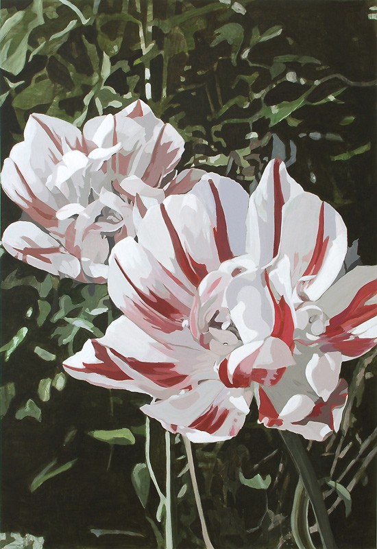 Tulipa Carnaval de Nice (2008) — Minna Hannele Lappalainen