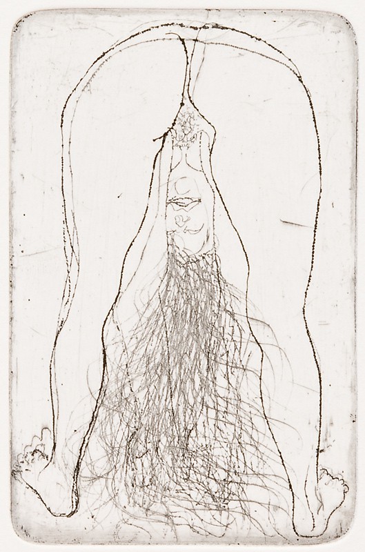 Håret flommer (1999) — Guttorm Guttormsgaard