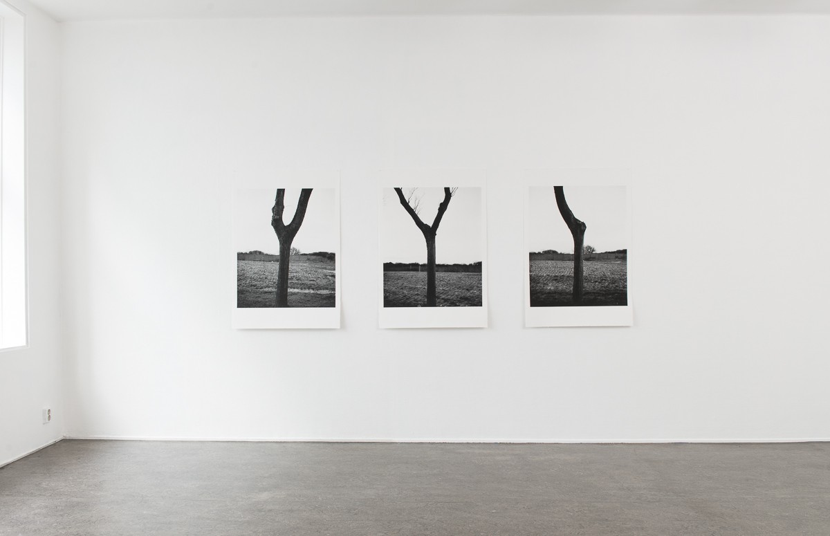 Installasjonsfoto fra utstillingen (tre #1, #2, #3) (2017) — Marte Aas