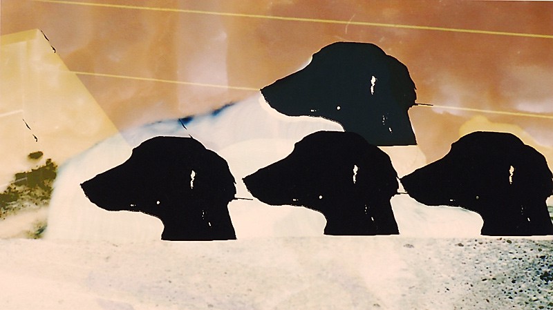 Josefin's traum (2009) — Unn Fahlstrøm