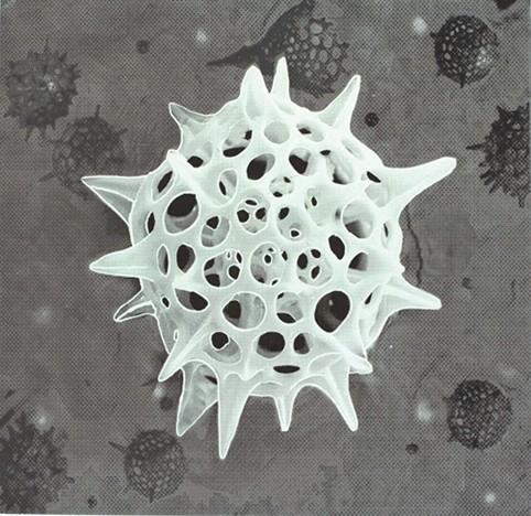 Radiolaria 2 (2010) — Ellen Karin Mæhlum