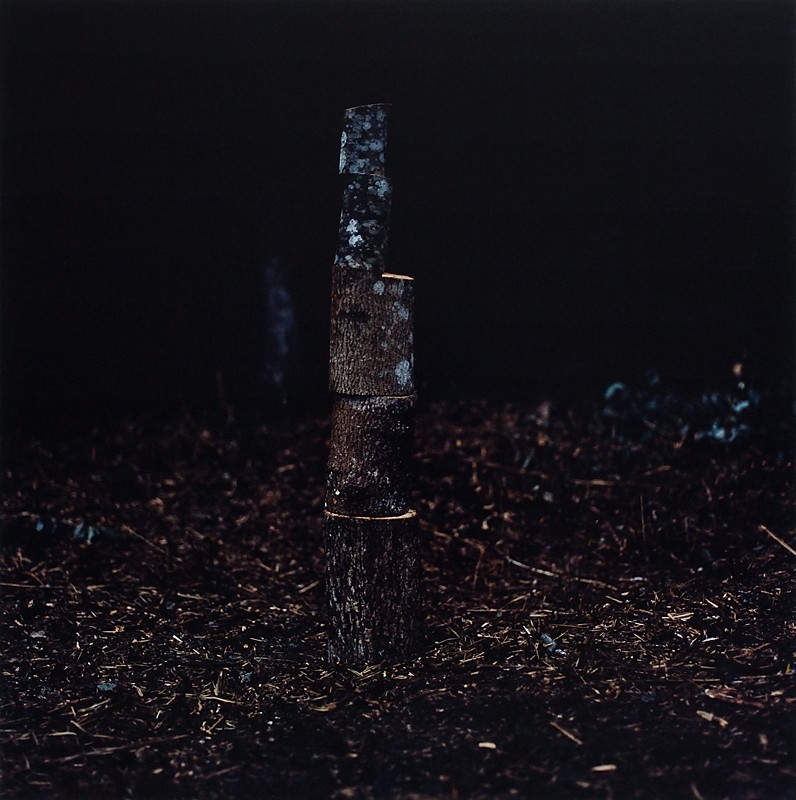 U.t. (2012) — Margareta Bergman