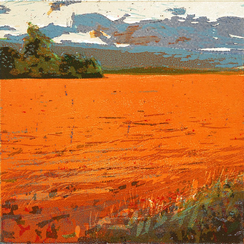 Auguståker (2009) — Tor-Arne Moen