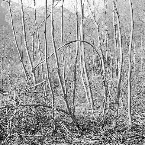 Uten tittel (1997) — Jens Hauge
