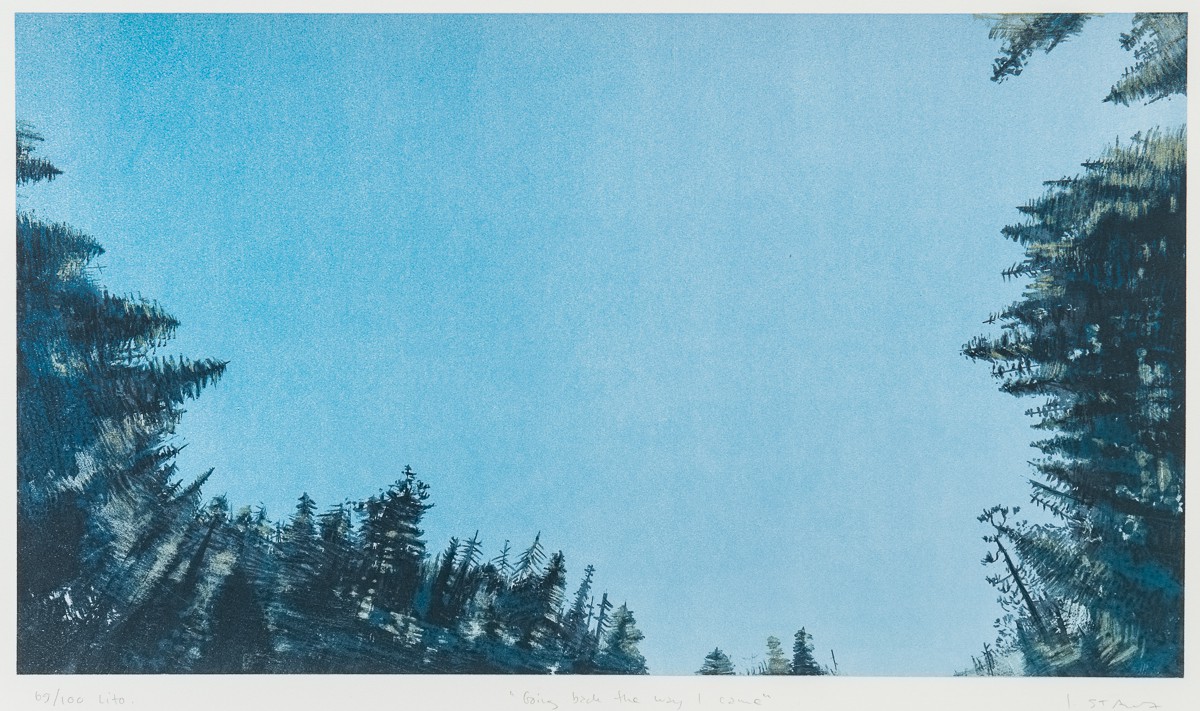 Going back the way I came (2010) — Ingeborg Stana
