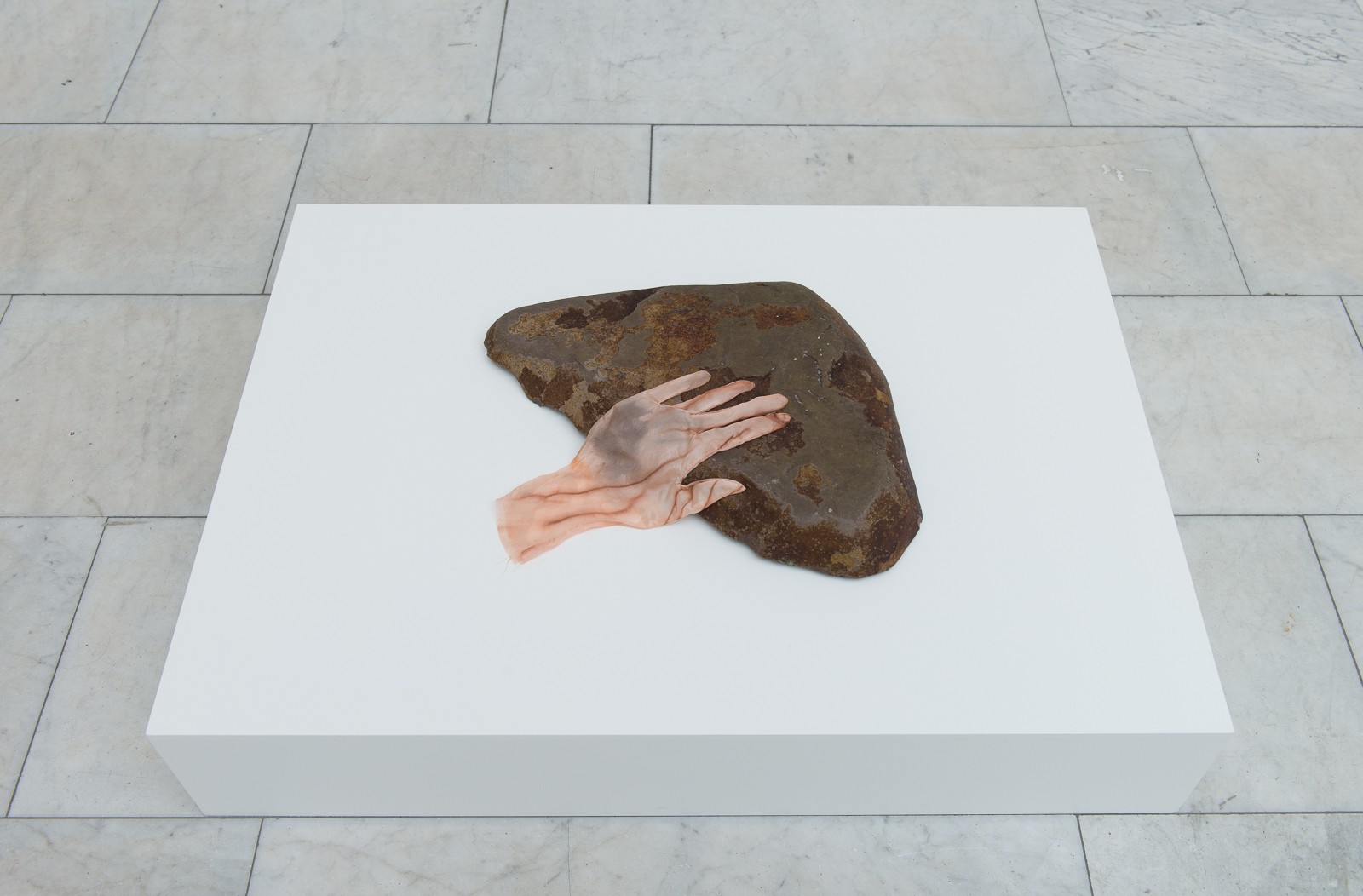 The Bruise (2015) — Ane Graff