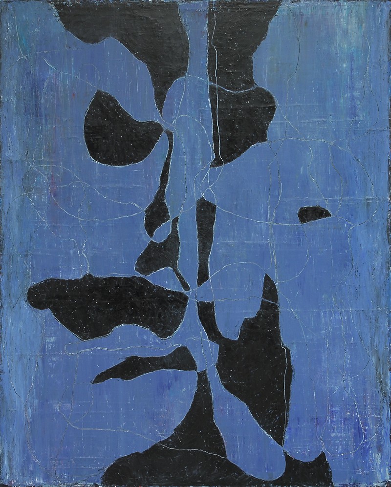 Field Favourable for Birds 1 (2009) — Bjørn-Sigurd Tufta