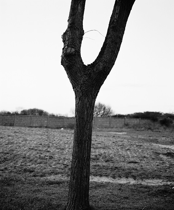 Tre #1 (2017) — Marte Aas