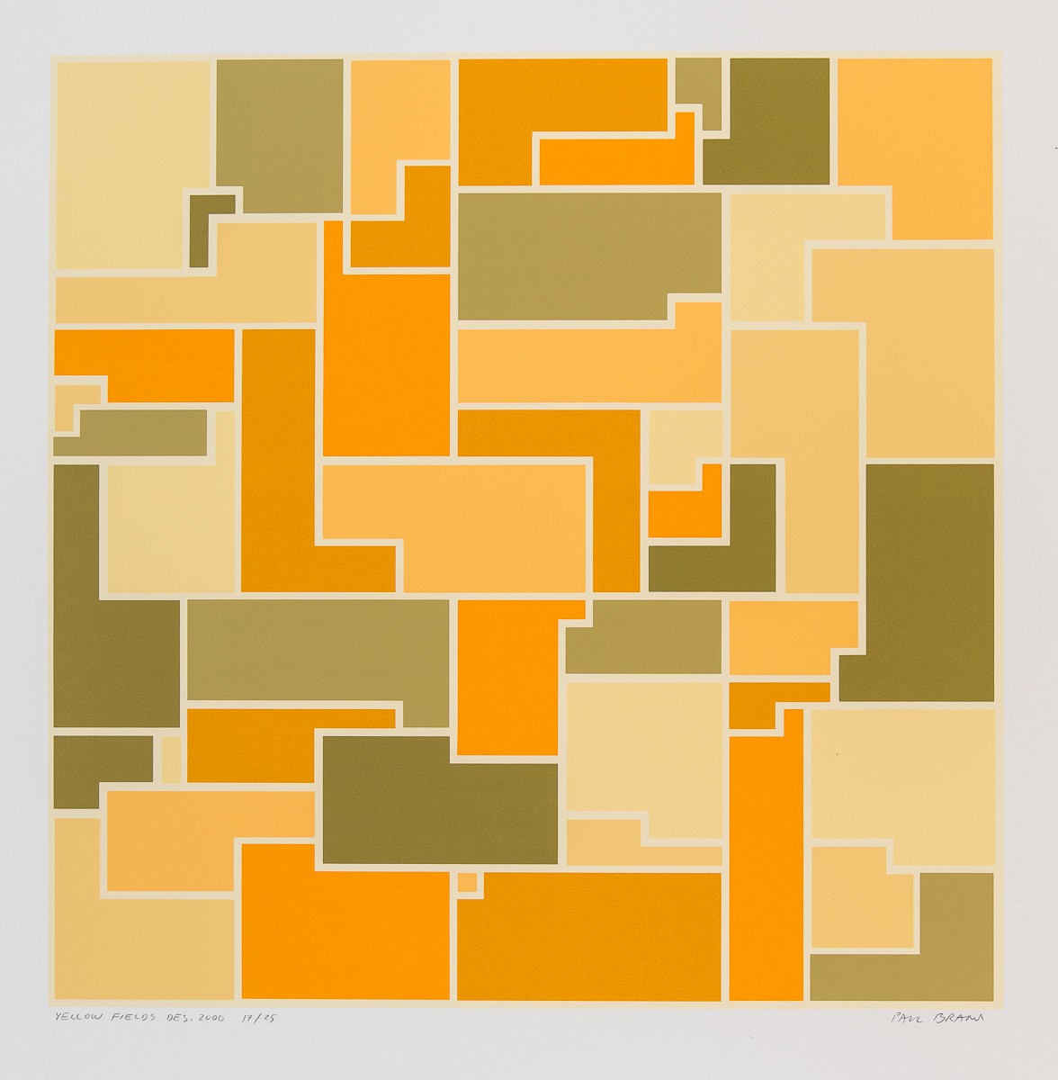 Yellow Fields, desember 2000 (2000) — Paul Brand
