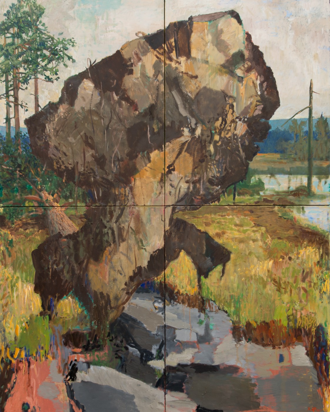 Norwegian Wilderness (2015) — Arvid Pettersen