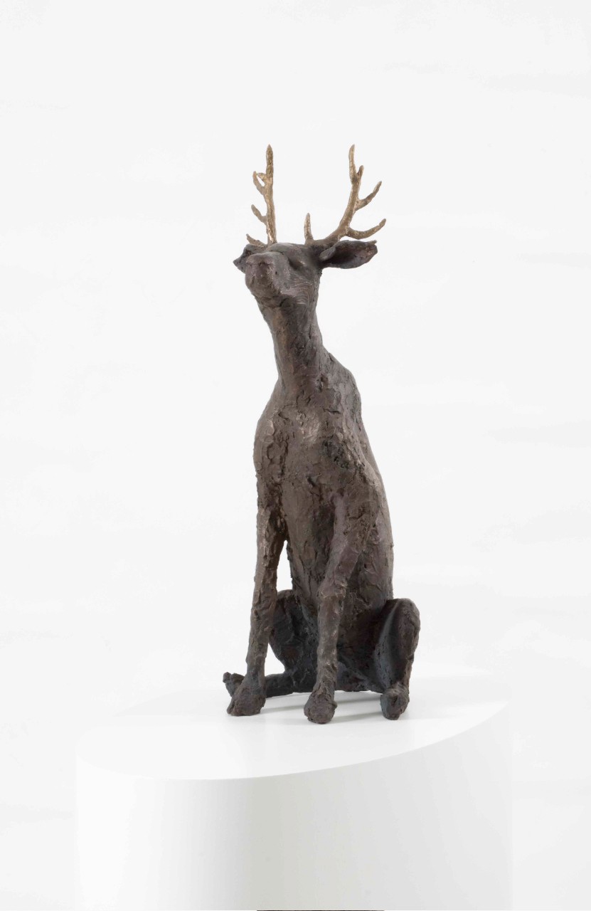 Tamed II (2009) — Petter Hepsø