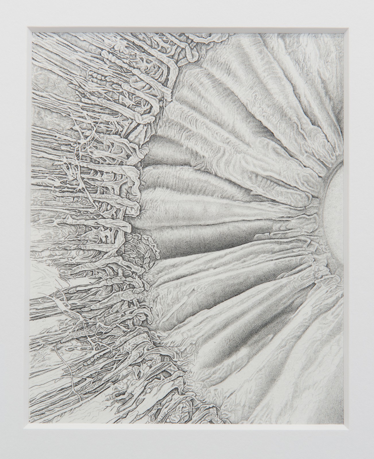 The Hungry Eye (2) (2015) — Ane Graff