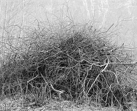 Uten tittel (1997) — Jens Hauge