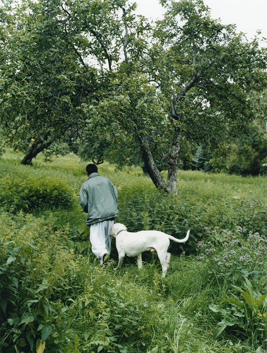 Torshovtoppen (2008) — Marte Aas