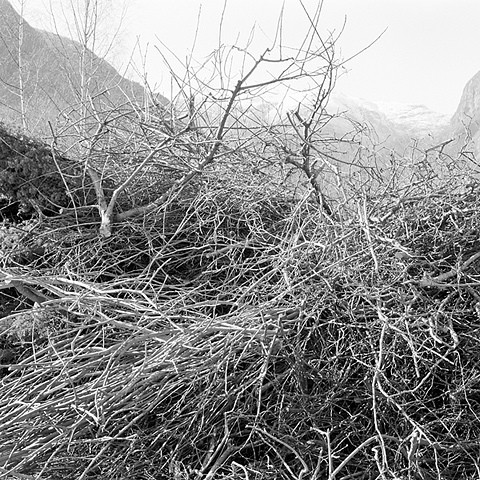 Uten tittel (1997) — Jens Hauge