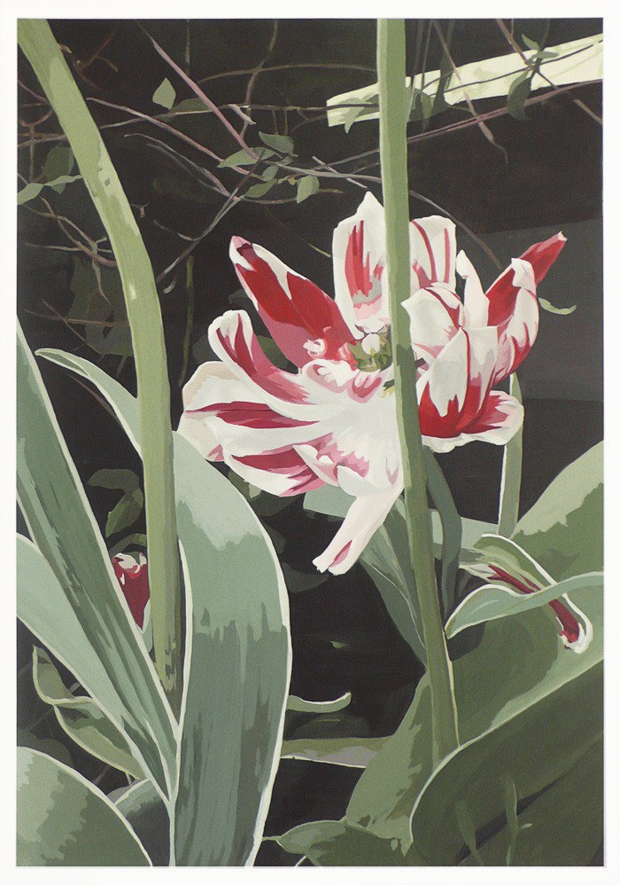 Tulipa Carnaval de Nice II (2009) — Minna Hannele Lappalainen